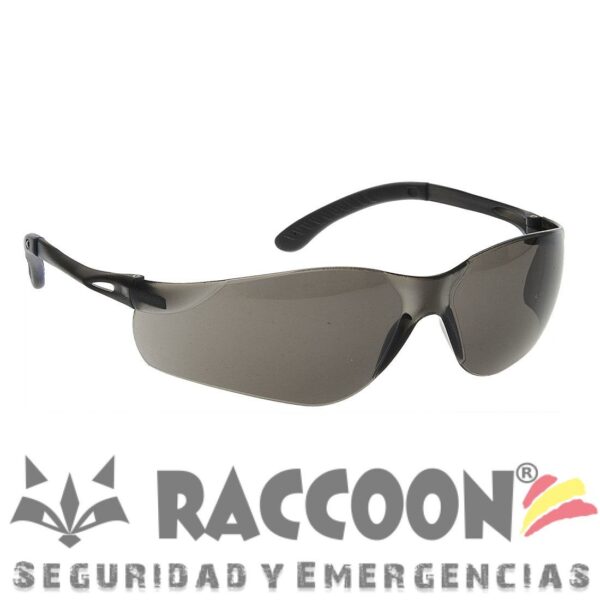 Gafas proteccion PW38 PAN VIEW negro